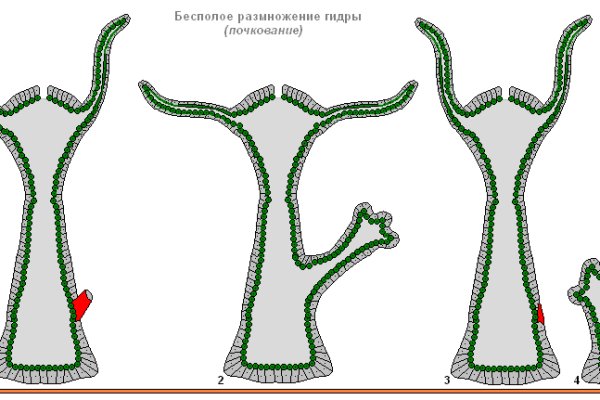 Кракен телегрф