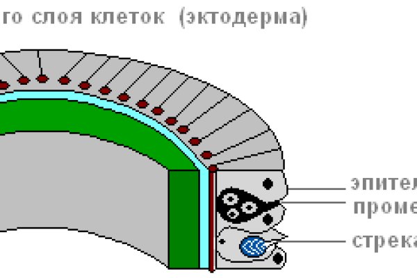 Kraken darknet зеркала