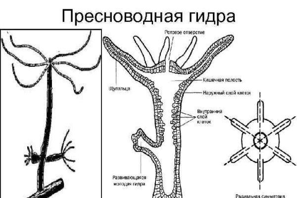 Кракен магазин нарков