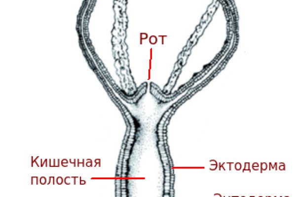 Что такое даркнет кракен