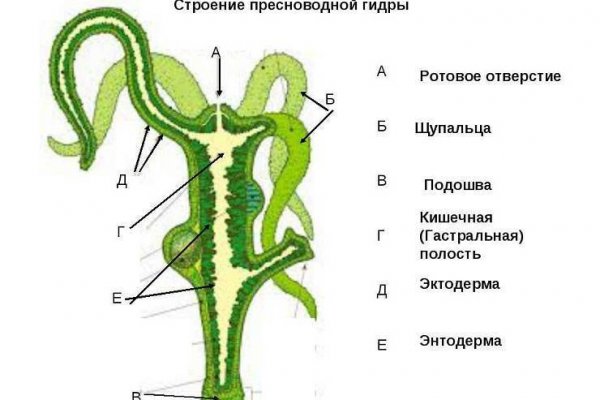 Кракен маркетплейс kr2web in