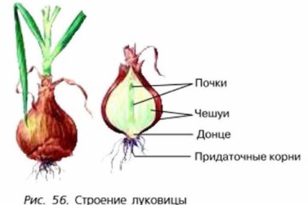 Кракен ссылка даркнет